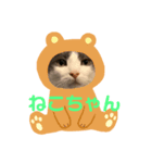 ケトくん（個別スタンプ：2）