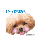 うめの友達★ディーン＆リズ★（個別スタンプ：3）