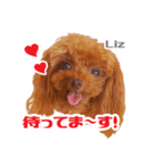 うめの友達★ディーン＆リズ★（個別スタンプ：4）