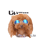 うめの友達★ディーン＆リズ★（個別スタンプ：5）