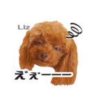 うめの友達★ディーン＆リズ★（個別スタンプ：6）