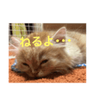 おでぶチャコ（個別スタンプ：3）