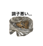 わが家の猫02 文字あり（個別スタンプ：9）