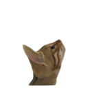 わが家の猫01 文字なし（個別スタンプ：7）