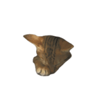 わが家の猫01 文字なし（個別スタンプ：16）