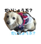 まろんの浴衣が可愛い（個別スタンプ：4）