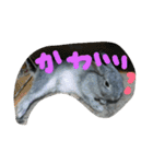 可愛すぎるうさぎさん(パート2)（個別スタンプ：2）