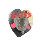 可愛すぎるうさぎさん(パート2)（個別スタンプ：5）