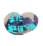 可愛すぎるうさぎさん(パート2)（個別スタンプ：21）