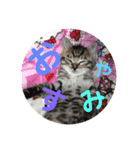 いぬとねこ2（個別スタンプ：2）