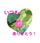 ありがとうと言いたい（個別スタンプ：4）