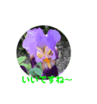 ありがとうと言いたい（個別スタンプ：5）