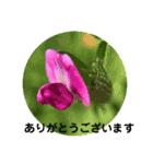 ありがとうと言いたい（個別スタンプ：8）