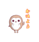 ふくろうのふっころさんがやってきた（個別スタンプ：1）