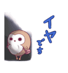 ふくろうのふっころさんがやってきた（個別スタンプ：10）