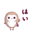 ふくろうのふっころさんがやってきた（個別スタンプ：12）