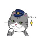 どやねこキャラクターズ（個別スタンプ：5）