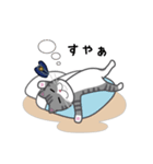 どやねこキャラクターズ（個別スタンプ：11）