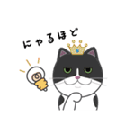 どやねこキャラクターズ（個別スタンプ：25）