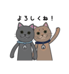 どやねこキャラクターズ（個別スタンプ：29）