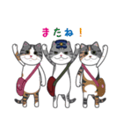どやねこキャラクターズ（個別スタンプ：31）