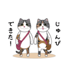 どやねこキャラクターズ（個別スタンプ：33）