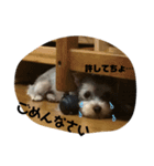 はぁと＆らぶり（個別スタンプ：6）