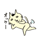 待ってるネコさん（個別スタンプ：25）