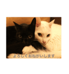 しろきちとくろたろう（個別スタンプ：2）