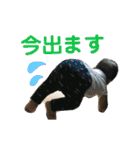 せぇちゃん（個別スタンプ：5）