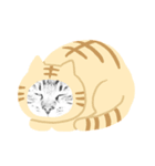 ぶさねこたち（個別スタンプ：6）