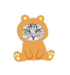 ぶさねこたち（個別スタンプ：8）
