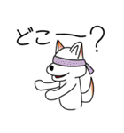 クルツはスニーカー犬（個別スタンプ：21）
