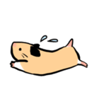 キンクマハムスター ちわ（個別スタンプ：6）