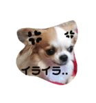 おじゃ丸・てつ丸です（個別スタンプ：2）