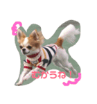 おじゃ丸・てつ丸です（個別スタンプ：7）