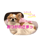 おじゃ丸・てつ丸です（個別スタンプ：8）