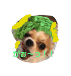 おじゃ丸・てつ丸です（個別スタンプ：11）