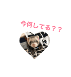 あいあむまっく（個別スタンプ：1）
