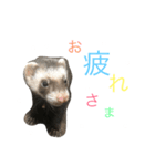 あいあむまっく（個別スタンプ：5）