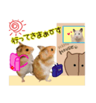 可愛いハムちゃんスタンプ 2（個別スタンプ：17）