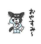 ナオミ＆チョコ 毎日使える基本セット（個別スタンプ：4）