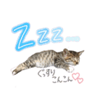 めいちぃのスタンプ（個別スタンプ：12）