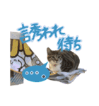 めいちぃのスタンプ（個別スタンプ：13）
