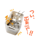 めいちぃのスタンプ（個別スタンプ：18）