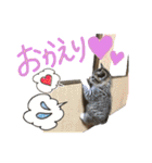 めいちぃのスタンプ（個別スタンプ：27）