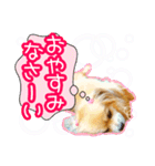 ペキックス ジャン君（個別スタンプ：2）