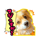 ペキックス ジャン君（個別スタンプ：7）