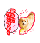 ペキックス ジャン君（個別スタンプ：15）
