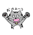 ねこのコキンさん。（個別スタンプ：1）